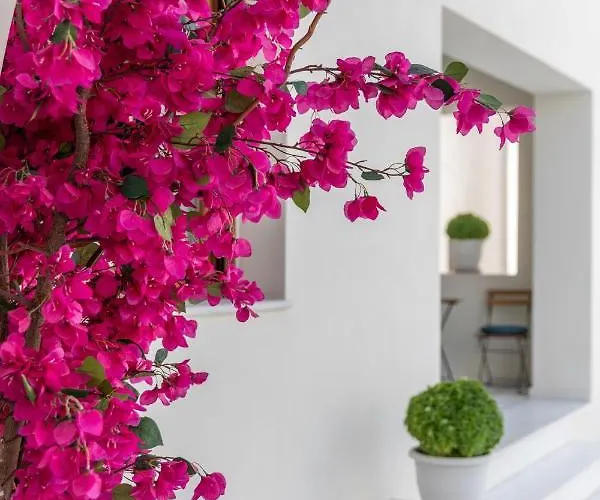 Harmony Beach House - 100 Steps From The Sea *